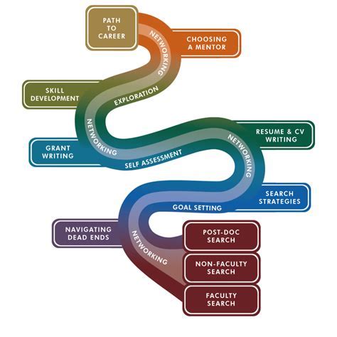 Career Journey of the Renowned Individual