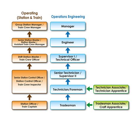 Career Path of Auchane Sierra