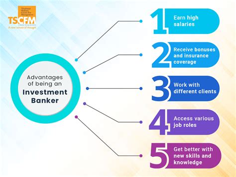 Career and Investments Overview