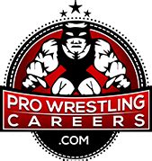 Career in Wrestling Industry