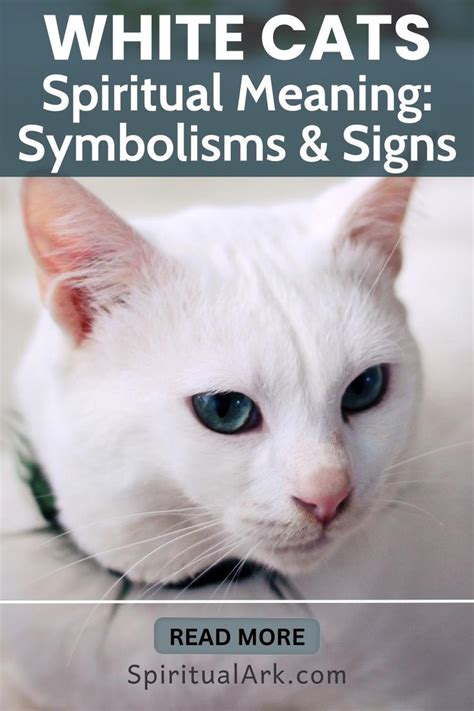 Cat Symbolism: Freedom and Enigma