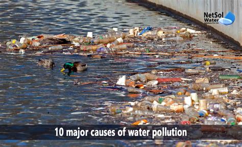 Causes of Dreaming about Swimming in Polluted Water