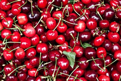 Cherry Price: Physical Appearance