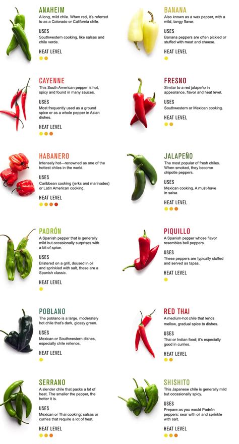 Chilli Varieties Around the Globe: Exploring the Wide Range of Flavors