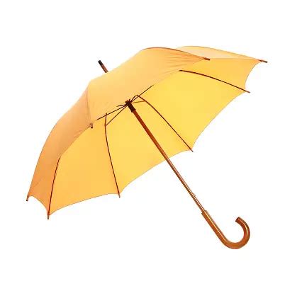 Choosing the Ideal Umbrella for Your Specific Needs