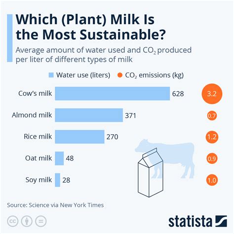 Choosing the Perfect Base: Milk or Water?