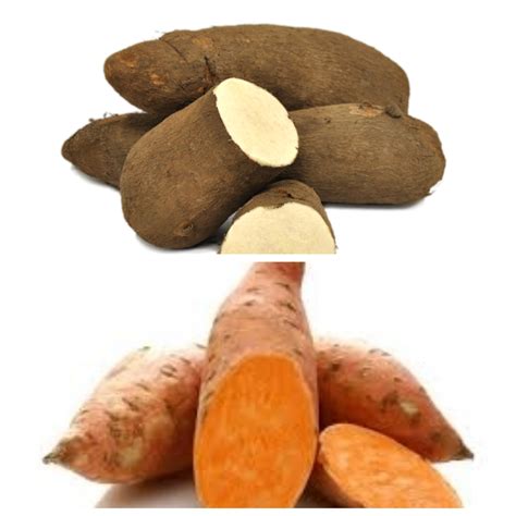 Choosing the Perfect Yam: Tips for Selecting the Best Variety