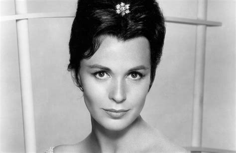 Claire Bloom: Filmography and Notable Roles