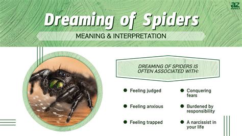 Common Explanations for Dreams Involving Dark Arachnids