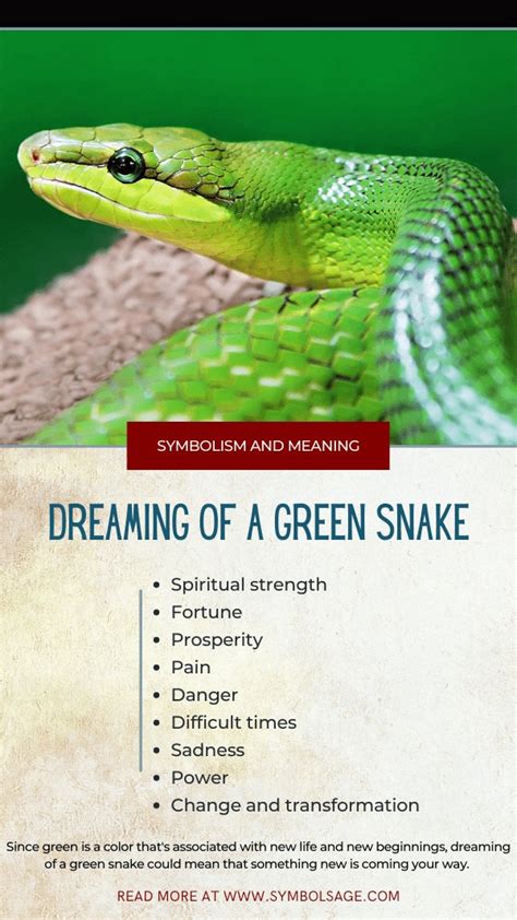 Common Meanings of Dreams Featuring Green Snakes