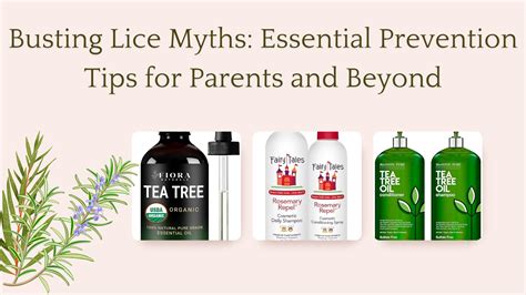 Common Misconceptions and False Beliefs about Lice