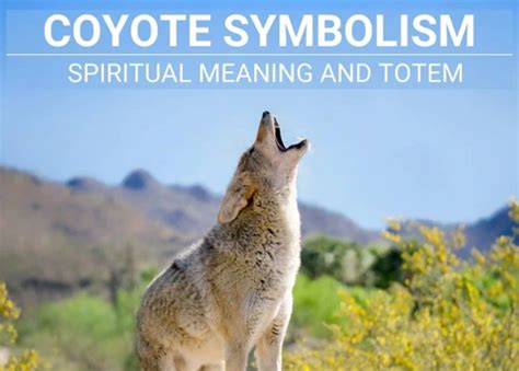 Common Themes and Messages in Wolf and Coyote Dreams