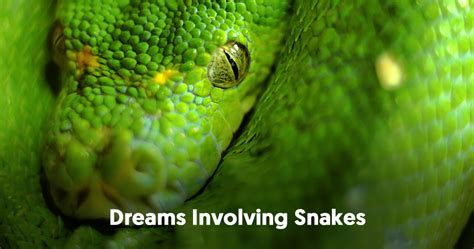 Common Variations of Dreams involving Serpent Demise