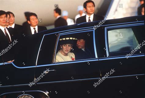 Comparing Diana Limo to Other Hollywood Rising Stars