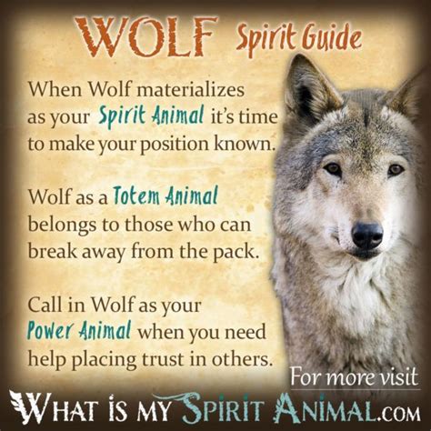 Connecting with Your Inner Wolf Spirit through Meditation