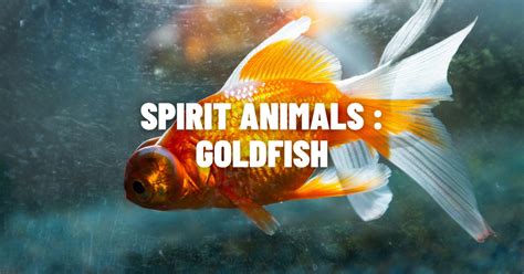 Considering the Potential Relevance of Goldfish Symbolism