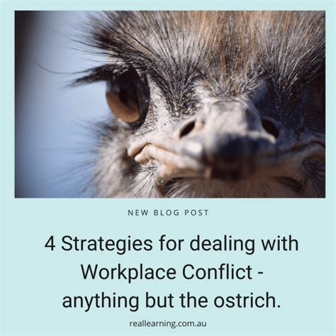 Coping Mechanisms: Understanding the Emotional Impact of Experiencing Ostrich Aggressiveness and Strategies for Dealing with It