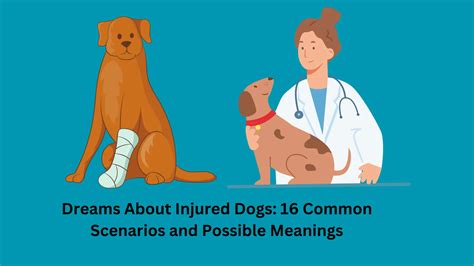 Coping Strategies for Managing Disturbing Dreams of an Injured Canine