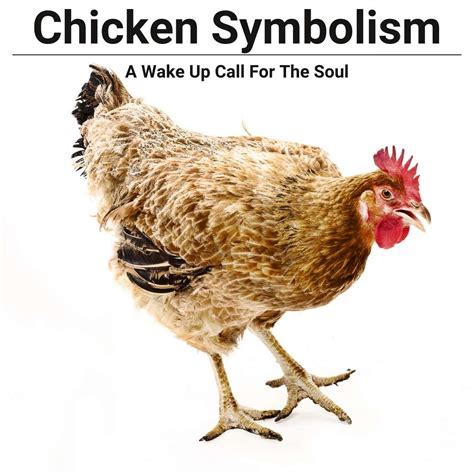 Cracking the Code: Analyzing the Symbolic Significance of Boiled Chicken