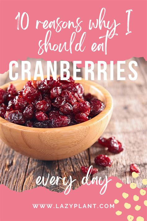 Cranberries and Wellness: Enhancing Immune Function and Supporting Digestive Health