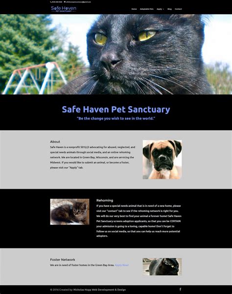 Creating a Safe Haven: The Secrets to a Successful Canine Sanctuary