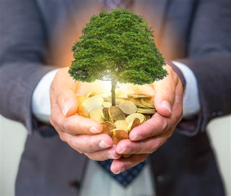 Creating a Wealth-Friendly Environment: The Key to Attracting Prosperity