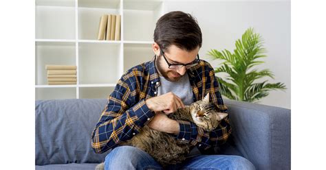 Creating a Welcoming Environment for a New Furry Companion