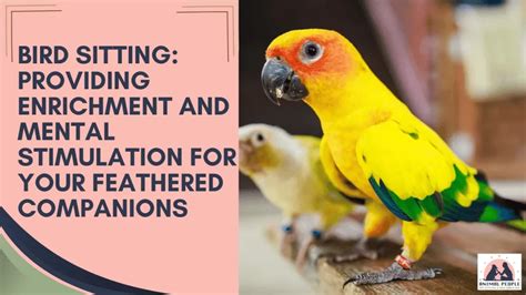 Creating an Appropriate Living Environment for Your Feathered Companion