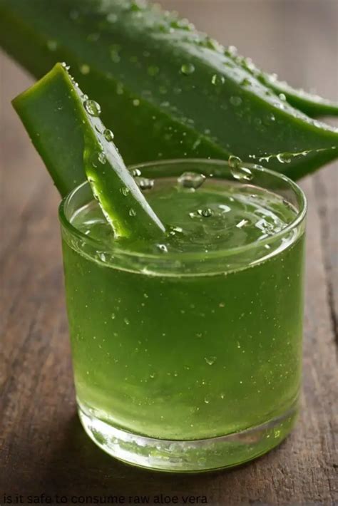 Critical Analysis: Is It Safe to Consume Aloe Vera?