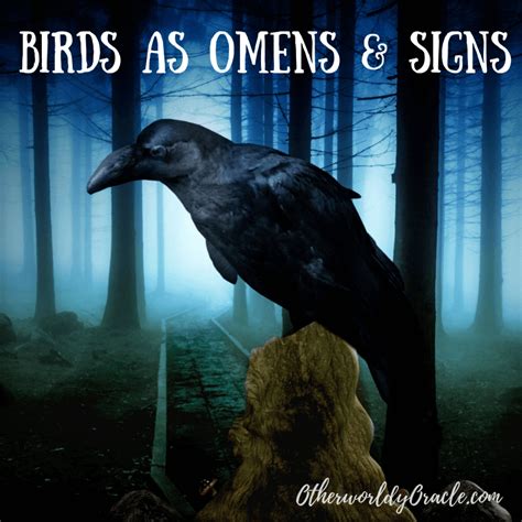 Crow Dreams as Warning Signs: Recognizing and Responding to the Omens they Bring