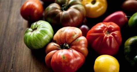 Crucial Steps for Cultivating Nutritious and Flavorful Tomatoes