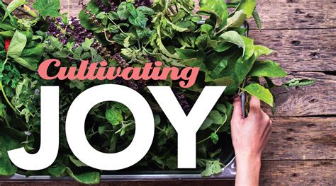 Cultivating Joy and Serenity: The Art of Grass-Care