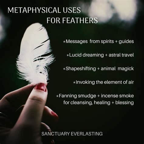 Cultural Beliefs: Feathers as Spiritual Symbols