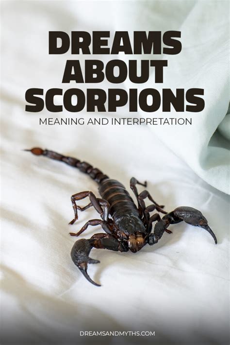 Cultural Differences: Variations in Scorpion Dreams around the World