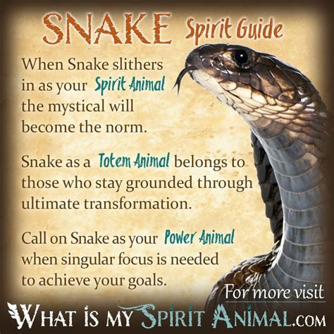 Cultural Interpretations of Snake and Rat Symbolism