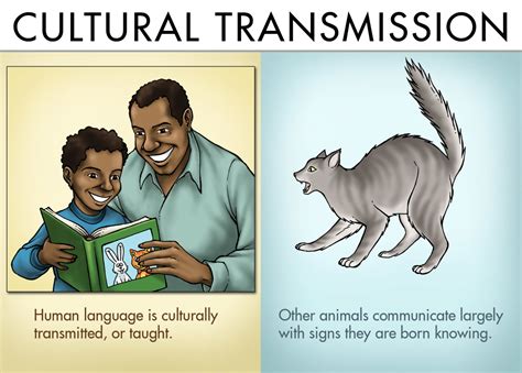 Cultural Perspectives on Communicative Animals