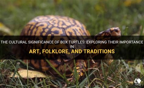 Cultural Symbolism: Exploring the Significance of the Turtle in Various Traditions