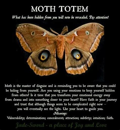 Cultural Symbolism of Moths in Different Regions