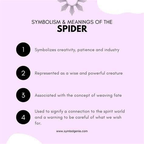 Cultural Symbolism of Spiders