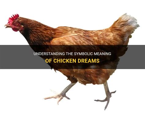 Cultural and Historical Perspectives on the Symbolism of Chickens in Dreams