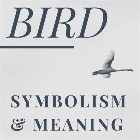 Cultural and Mythological Significance: Avian Messengers and Omens of Transformation