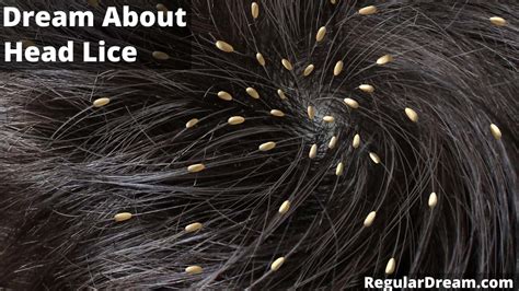 Cultural and Superstitious Beliefs: What Does Dreaming about Hair Lice Signify?