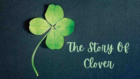 Curious Clover: A Mysterious Biography