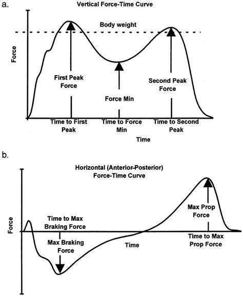 Current Stage of Existence, Verticality, Physique Features