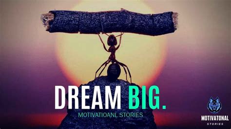 Dare to Dream Big: Inspiring Tales of Individuals Who Defied Gravity