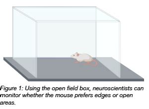 Deciphering the Actions and Behaviors of an Ivory Rodent in Reveries