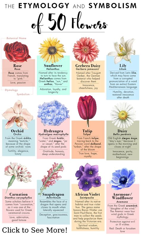 Deciphering the Meaning Behind Various Flower Varieties