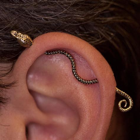 Deciphering the Meaning Behind a Minor Serpent Piercing