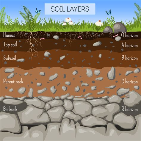 Deciphering the Nature of Clay Soil: Resolving its Composition and Distinctive Attributes