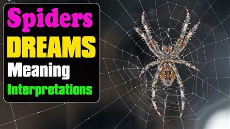 Deciphering the Significance of Arachnids in Dreams